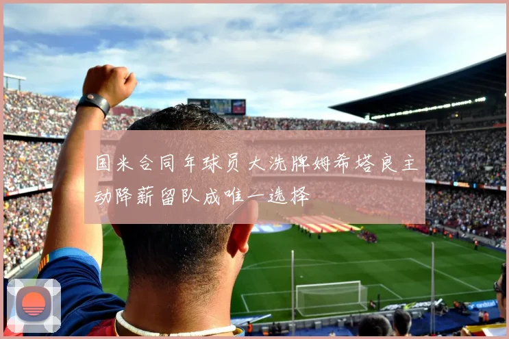 国米合同年球员大洗牌姆希塔良主动降薪留队成唯一选择
